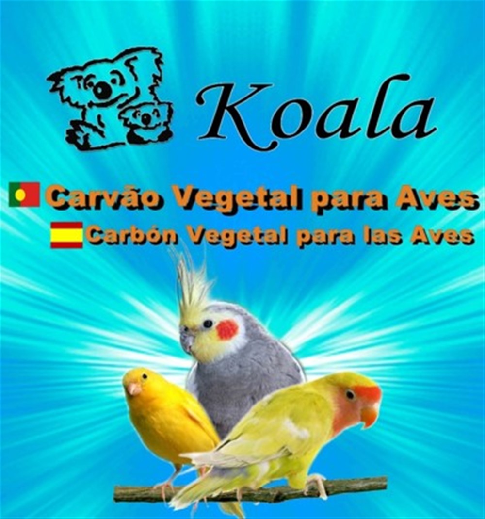 CARVÃO VEGETAL P/ AVES 500 GR