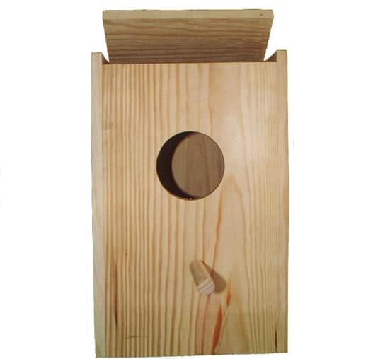 NINHO ROSELA NORMAL (C/ESCADA INTERIOR)
