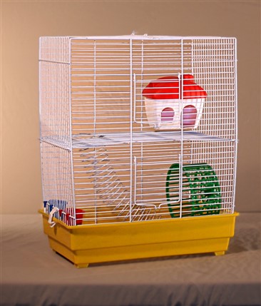 GAIOLA HAMSTER ROMA